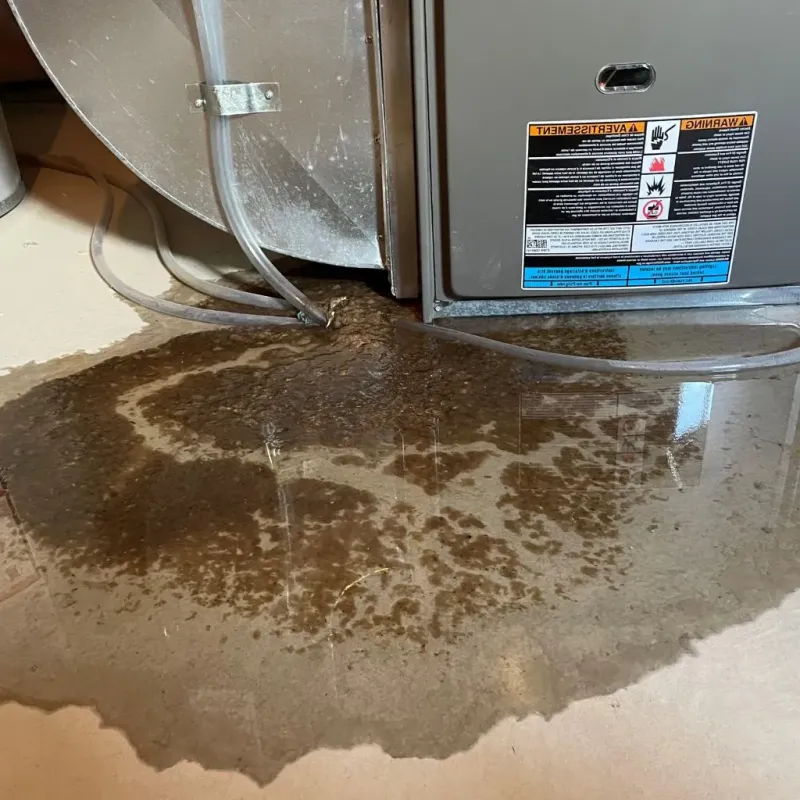 Pipe Burst and Leak Restoration in Slatington, PA
