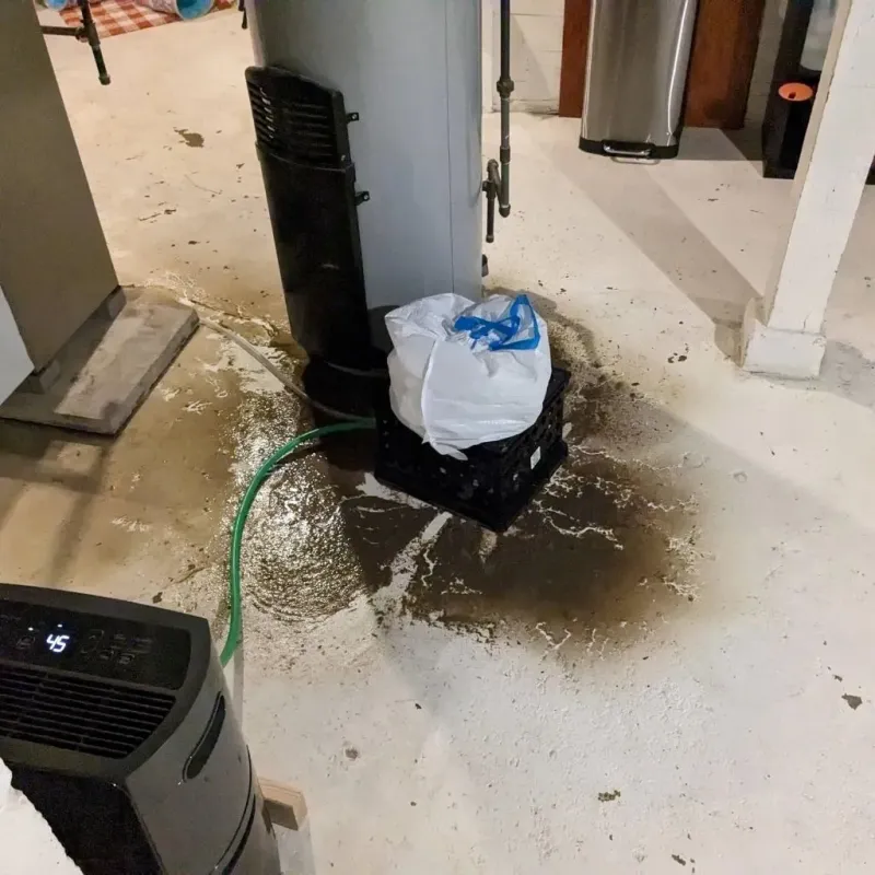 Sewage Backup Cleanup Service in Slatington, PA